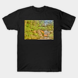 Valley of the Orange Rock T-Shirt